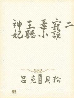 神王毒宠二嫁王妃听小说封面