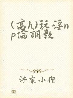 (高h)玩淫np伦调教