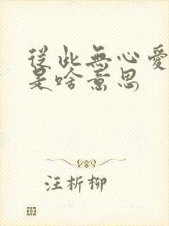 从此无心爱良夜是啥意思