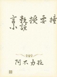 言教授要撞坏了小说