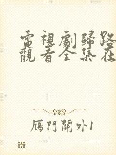 电视剧归路免费观看全集在线播放封面