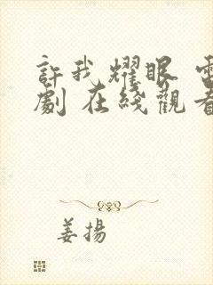 许我耀眼 电视剧 在线观看封面