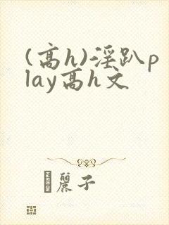 (高h)淫趴play高h文