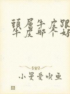 头层牛皮跟二层牛皮哪个好