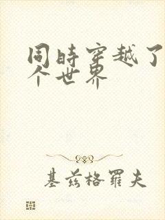 同时穿越了99个世界