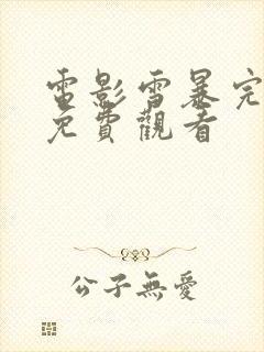 电影雪暴完整版免费观看