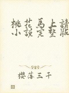 桃花马上请长缨小说完整版在线阅读