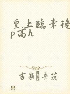 皇上临幸后宫np高h