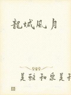 龙城风月封面