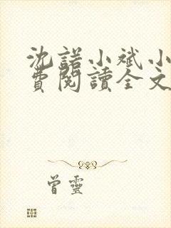 沈诺小斌小说免费阅读全文最新章节