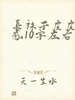 长袜子皮皮读后感10字左右封面