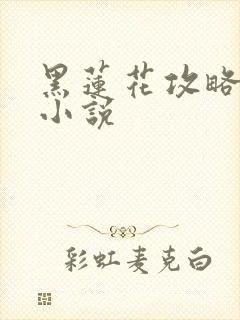黑莲花攻略手册小说
