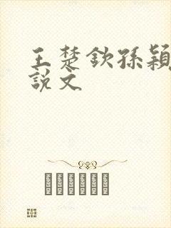 王楚钦孙颖莎小说文封面