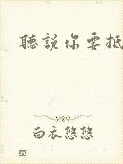 听说你要抵抗我封面