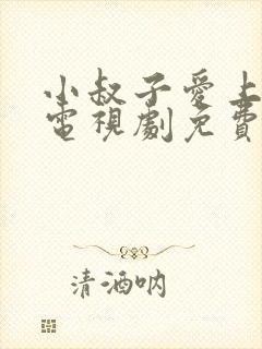 小叔子爱上嫂子电视剧免费观看完整