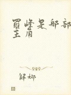 罗峰是哪部小说主角封面