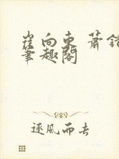 崔向东 萧错 笔趣阁