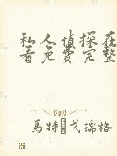 私人侦探在线观看免费完整