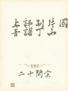 上译制片国语配音诺丁山