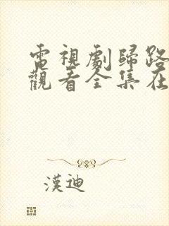 电视剧归路免费观看全集在线播放