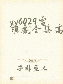 yy6029电视剧全集高清免费播放封面