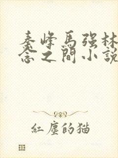 秦峰马强林梅一念之间小说