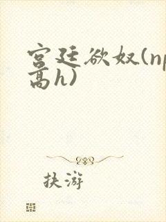 宫廷欲奴(np高h)