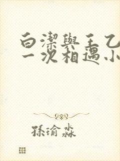 白洁与王乙的第一次相遇小说介绍大