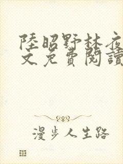 陆昭野林夜棠全文免费阅读最新章节封面