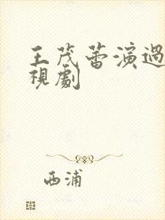 王茂蕾演过的电视剧