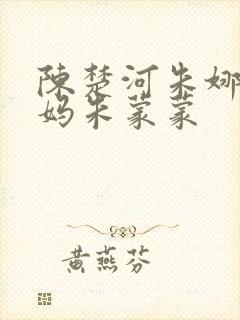 陈楚河朱娜的妈妈朱蒙蒙