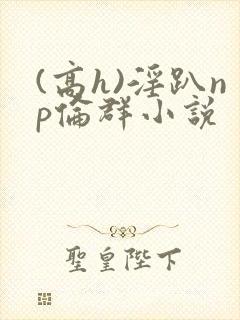 (高h)淫趴np伦群小说