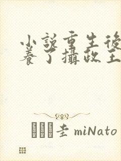 小说重生后我娇养了摄政王小说