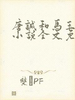 唐诚和马玉婷的小说全文免费