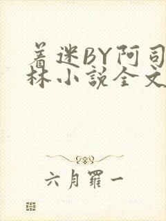 着迷BY阿司匹林小说全文免费阅读封面