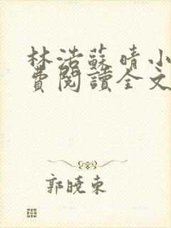 林浩苏晴小说免费阅读全文最新章节封面