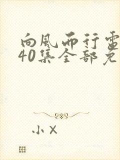 向风而行电视剧40集全部免费观看