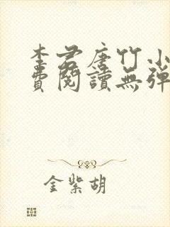 李君唐竹小说免费阅读无弹窗封面