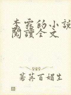 李霖的小说免费阅读全文封面