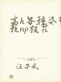 高h各种姿势调教np校花