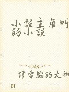 小说主角叫叶玄的小说封面