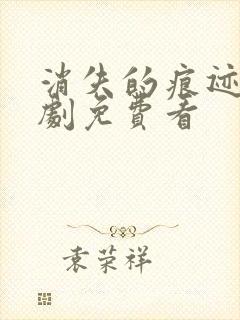 消失的痕迹电视剧免费看封面