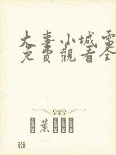 大事小城电视剧免费观看全集高清