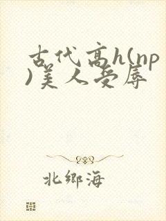 古代高h(np)美人受辱