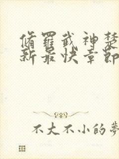 修罗武神楚枫最新最快章节