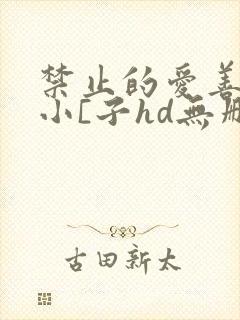 禁止的爱善良的小[子hd无删减在线