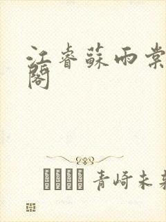 江睿苏雨棠笔趣阁