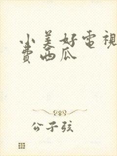 小美好电视剧免费西瓜