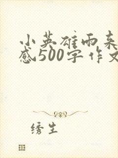 小英雄雨来读后感500字作文本