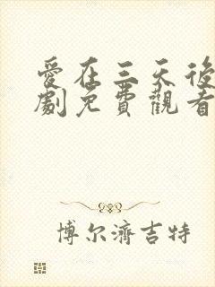 爱在三天后电视剧免费观看